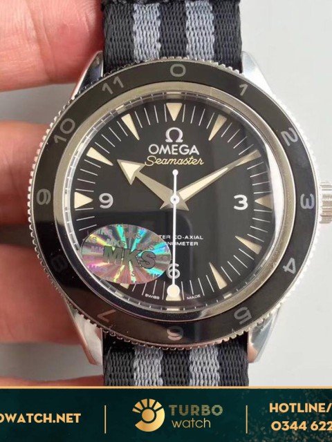 đồng hồ Omega replica 1-1  SEAMASTER 210 DIVER 300 